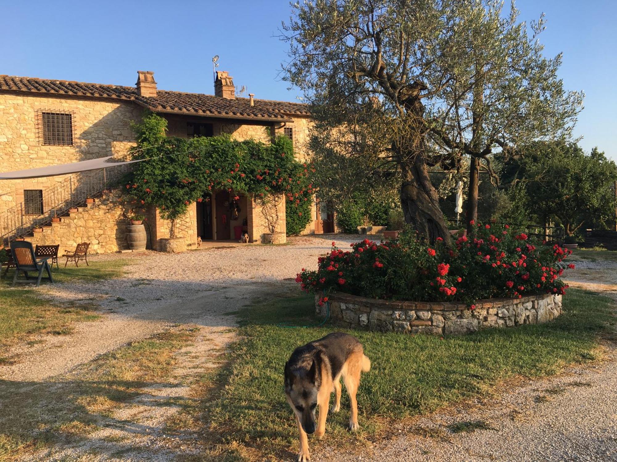Agriturismo Podere Dell' Olmo Amelia Bagian luar foto