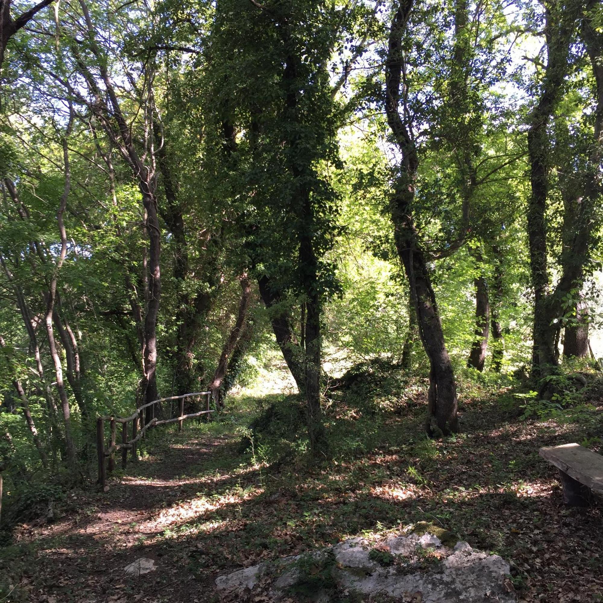 Agriturismo Podere Dell' Olmo Amelia Bagian luar foto