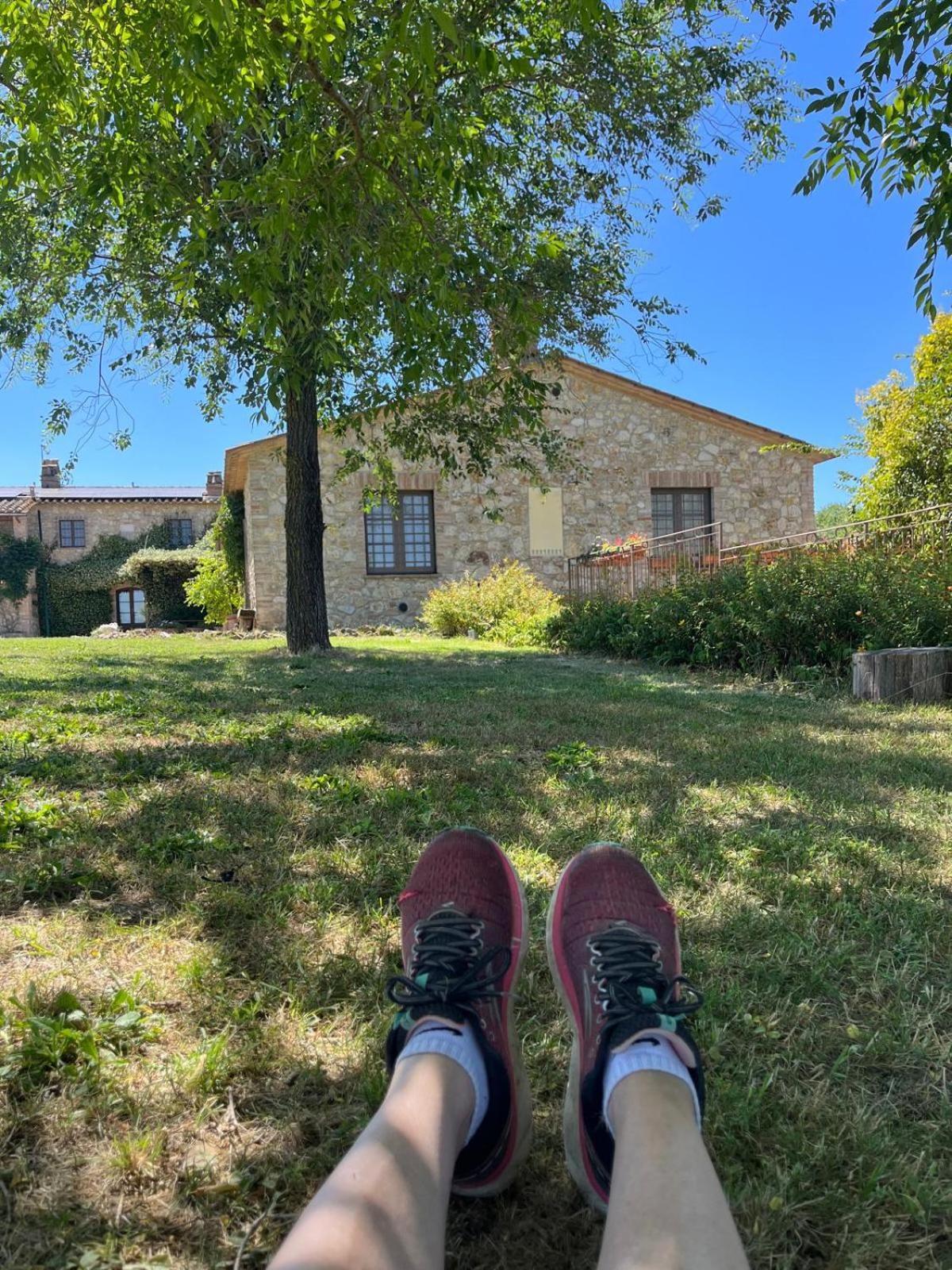 Agriturismo Podere Dell' Olmo Amelia Bagian luar foto