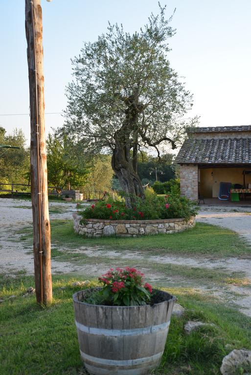Agriturismo Podere Dell' Olmo Amelia Bagian luar foto