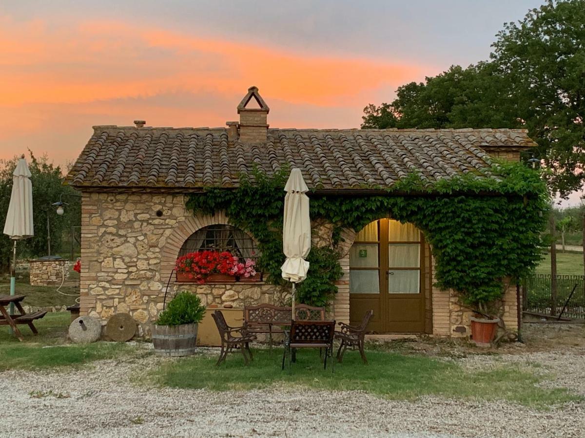 Agriturismo Podere Dell' Olmo Amelia Bagian luar foto