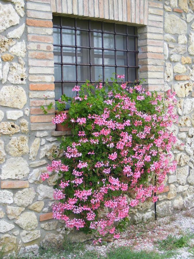 Agriturismo Podere Dell' Olmo Amelia Bagian luar foto